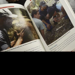 Guide To Making Fire