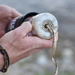 Rapid Rope Canister 18 Rapid Rope Canister -Outdoor Store RRPC6010det5 05809.1640877901