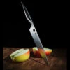 Samura Modern Chef's Knife Reptile -Outdoor Store TC SRP 0087det2 47617.1623233914