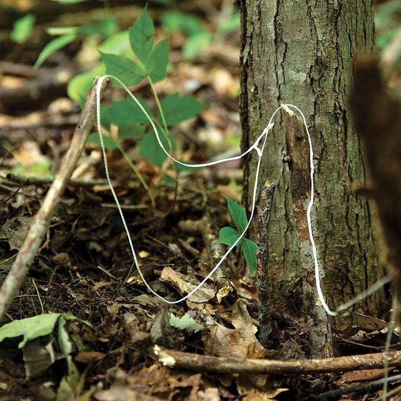 Atwood Parapocalypse Paracord 6 Atwood Parapocalypse Paracord - Image 4